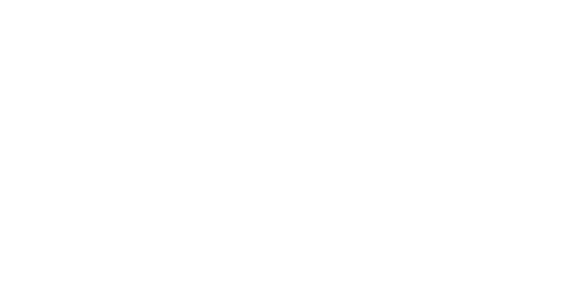 Silver Lyan logo
